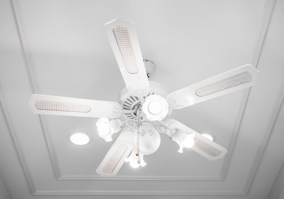 Elevate Your Home With The Right Ceiling Fan
