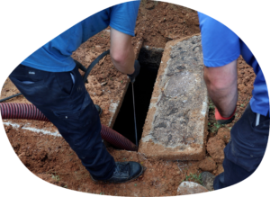 Septic Pumping 1